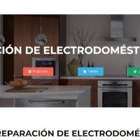 tecnicoelect