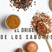 salomonspi